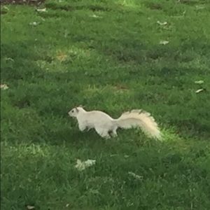 Meet your Posher, Orlaith